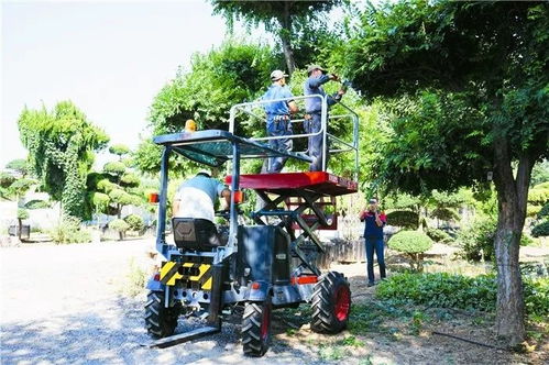 園林機械在綠化養護中的應用