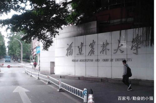 填報志愿 這22所 普通一本 大學值得報 優勢專業好就業